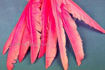 Декоративный Пучок из перьев, перо 25см/розовый - купить в Костроме. Цена: 14.40 руб.
