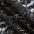 Кружевное полотно XD LACE 1-4, 80 гр/м2, шир.150см, цвет чёрный - купить в Костроме. Цена 245.94 руб.