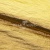 Текстильный материал "Диско"#1805 с покрытием РЕТ, 40гр/м2, 100% полиэстер, цв.5-золото - купить в Костроме. Цена 412.36 руб.