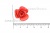 Украшение "Розы малые №1" 20мм - купить в Костроме. Цена: 32.82 руб.