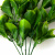 Трава искусственная -1, шт (эвкалипт лист 32 см/8 см)				 - купить в Костроме. Цена: 169.93 руб.