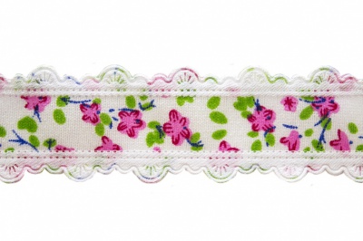 Тесьма декоративная 0385-6170, шир. 25 мм/уп. 22,8+/-1 м, цвет 02-розовый - купить в Костроме. Цена: 368.42 руб.