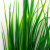 Трава искусственная -2, шт (осока 41см/8 см)				 - купить в Костроме. Цена: 104.57 руб.