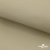 Ткань подкладочная TWILL 230T 14-1108, беж светлый 100% полиэстер,66 г/м2, шир.150 cм - купить в Костроме. Цена 90.59 руб.