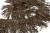 008-коричневый, Бахрома арт.001 шир.10см (упак.12+/-0,5м) - купить в Костроме. Цена: 1 017.33 руб.