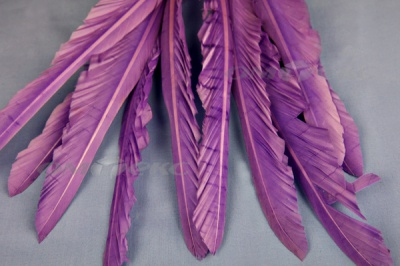 Декоративный Пучок из перьев, перо 25см/фиолетовый - купить в Костроме. Цена: 12.19 руб.