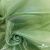 Ткань органза, 100% полиэстр, 28г/м2, шир. 150 см, цв. #27 зеленый - купить в Костроме. Цена 86.24 руб.