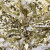 Трикотажное полотно, Сетка с пайетками, шир.130 см, #315, цв.-белый/золото - купить в Костроме. Цена 693.39 руб.