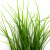 Трава искусственная -3, шт (осока 50 см/8 см  5 листов)				 - купить в Костроме. Цена: 124.17 руб.
